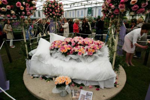 Найгарніша виставка квітів на землі відкрилась у Лондоні (фоторепортаж частина 1)