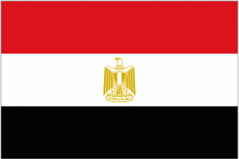 Тимчасовий уряд Єгипту в повному складі подав у відставку