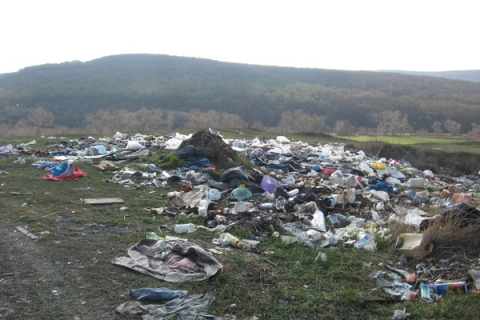 Від чого страждають кримські ліси