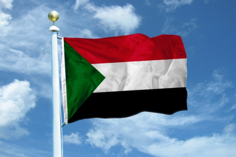 Розбився літак з високопосадовцями Судану