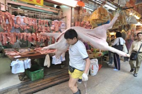 «Китайские свиньи сделаны из особых компонентов»