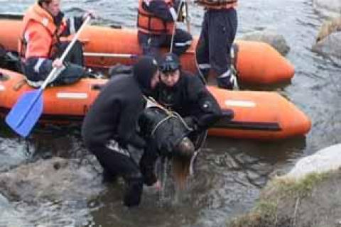 В Казані затонув теплоход «Булгарія», ведуться пошуково-рятувальні роботи