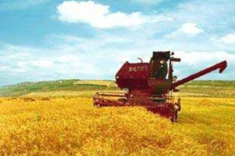 Присяжнюк: Україна з 15 листопада припинить експорт пшениці