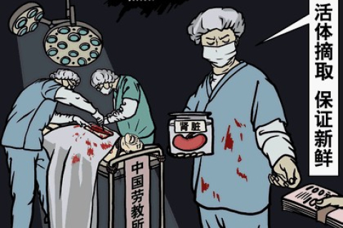 Розповідь очевидця: Як у Китаї видаляють органи у живих людей