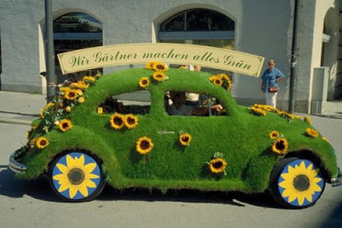 Зелені авто скоро у Києві