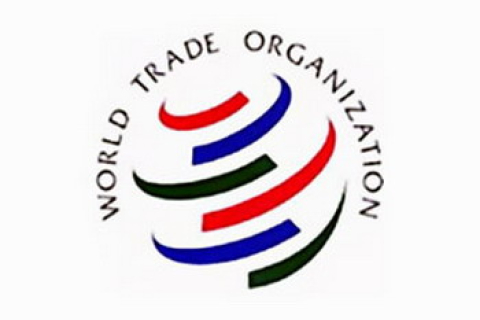 На Китай подали жалобу в ВТО
