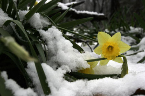 Зима в Україні буде сніжною та затяжною - синоптики