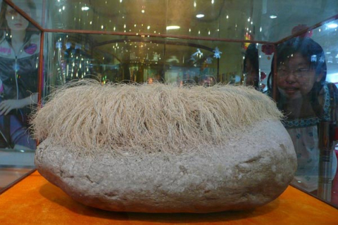 Камень с «седыми волосами» привлекает внимание покупателей в магазине