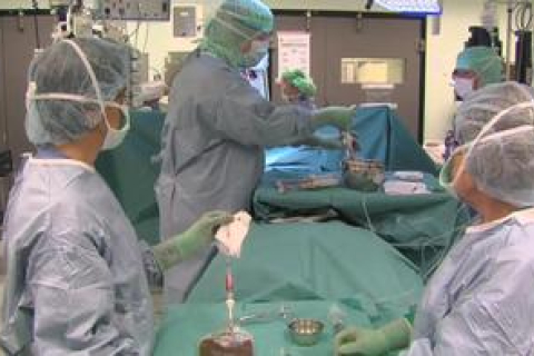 Пациентам научились пересаживать искусственно выращенные органы