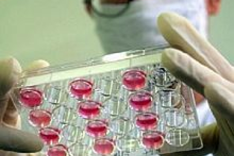 120 миллионов носителей вируса гепатита в Китае подвергаются дискриминации