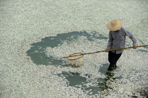 В Китаї річкова вода в деяких місцях стала чорною