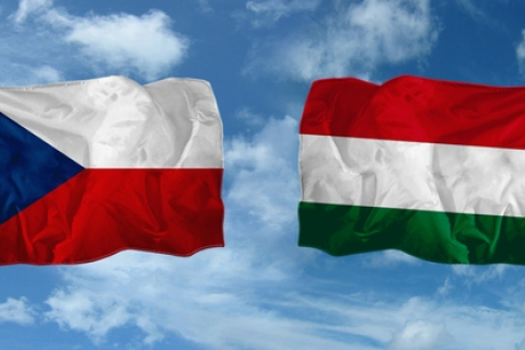 Чехія і Угорщина будуть спостерігати за парламентськими виборами в Україні