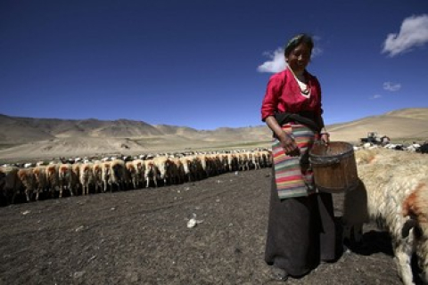 Жителі Тибету страждають від сильної посухи.