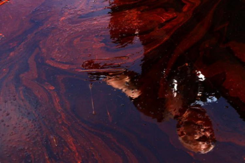 В Иркутской области введён режим ЧС из-за разлива нефти на Ангаре