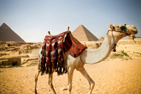 Таємниці Єгипту: все те, що залишилося за межами «all inclusive»
