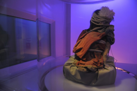 Болівія повернула в Перу вкрадену мумію дитини