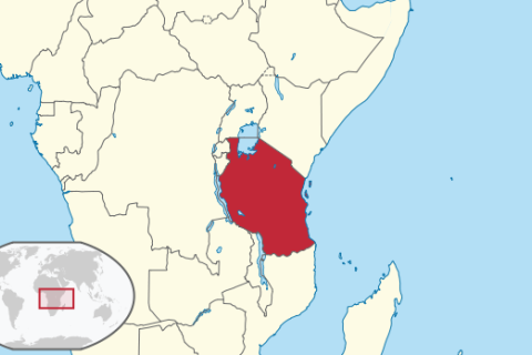 У берегов Танзании затонул паром, погибли более 30 человек
