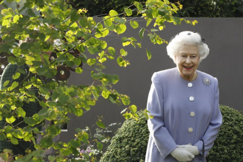 Королева Єлизавета II шукає мийника посуду