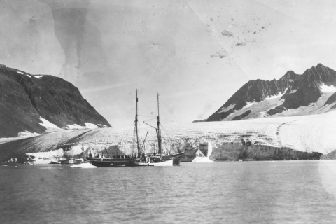 Таяние ледников Гренландии сейчас и 80 лет назад: анализ учёных