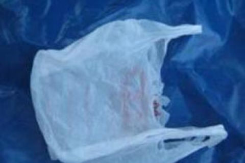 Пластиковые пакеты способны переносить опасные бактерии
