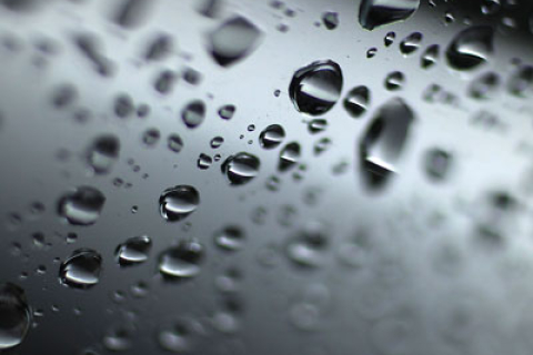 Фотоогляд: Крапельки дощу здатні зачаровувати
