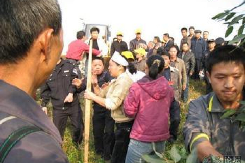Чиновники за допомогою бандитів захопили землю селян на сході Китаю. Фото