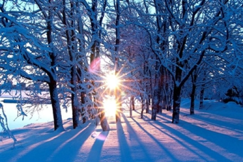 Україні обіцяють теплу зиму