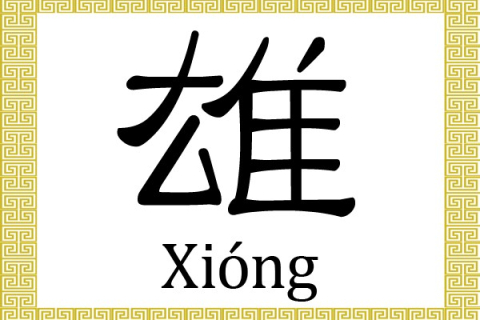 Китайські ієрогліфи: сильний