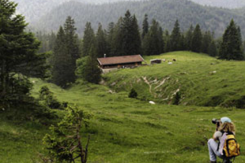 Туризм європейський - сервіс український