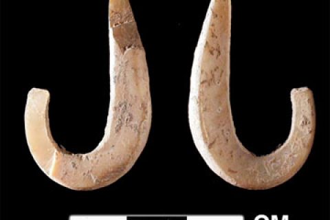 42 тысячи лет назад в Австралии жили искусные рыбаки