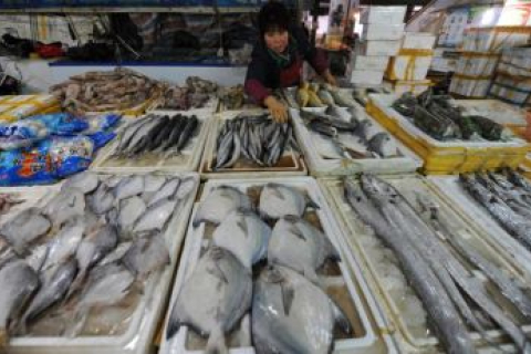 Риба в Китаї вирощується на антибіотиках