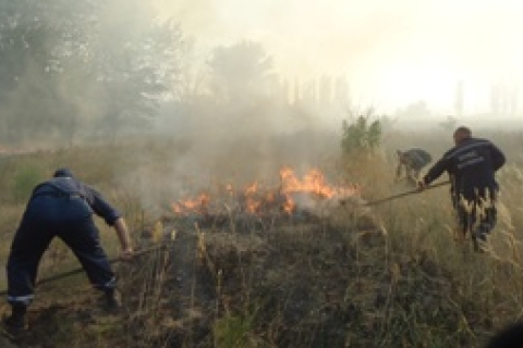 В Херсонской области выгорело 100 га леса, пострадали пожарные