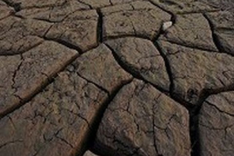 Збитки від посухи в Китаї обчислюються мільярдами доларів