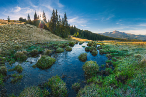 Вікі любить Землю: найкращі фото заповідників України