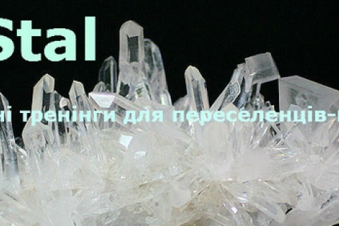 Проект бесплатных тренингов для переселенцев-предпринимателей CryStal ждёт поддержки