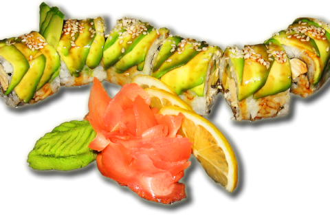 Разнообразие суши