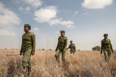 Перша жіноча команда рейнджерів-масаї протистоїть браконьєрам в Африці (ФОТО)