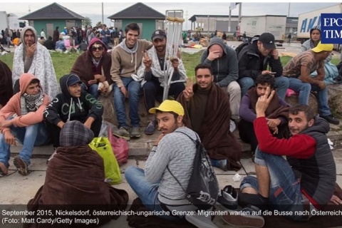 Германия не берет на себя обязательства по переселению — эксперт призывает принять 41 000 