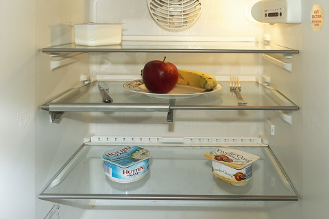 Неприятный запах в холодильнике: причины появления