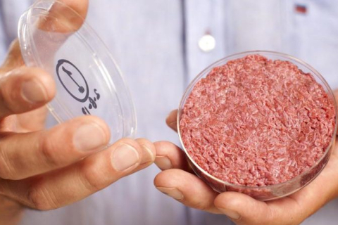 В будущем рынок мяса может быть разделен на три части: животный, растительный и из биореакторов