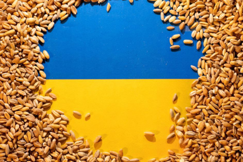 Польско-украинские переговоры идут по плану после запрета на импорт зерна, заявляет Варшава