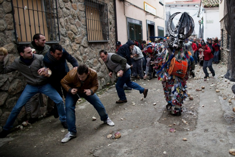 Испанский фестиваль Харрамплас — репой по рогатой морде