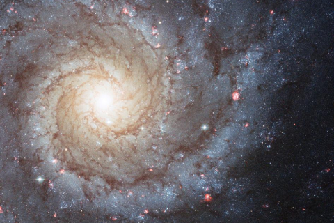 Галактики становятся более организованными, считают учёные
