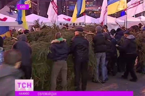 На Евромайдан привезли 14-метровую ёлку