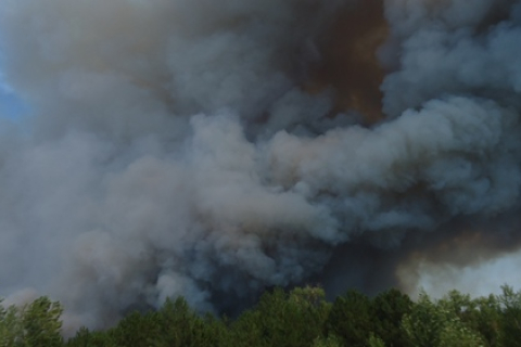 В Украине объявили высокую пожарную опасность