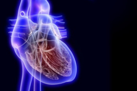 Угарный газ и болезни сердца - связь причины и следствия 