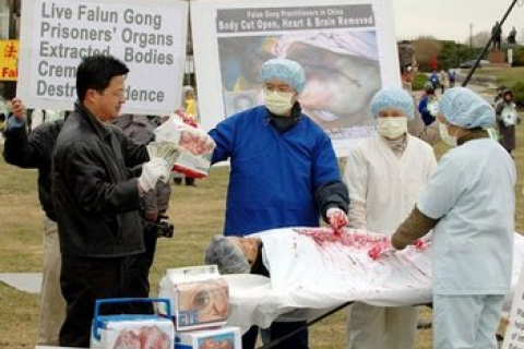Вынужденные доноры: опровержение данных Пекина об «органах казненных заключенных». Часть 1