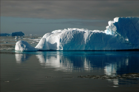 Антарктида — страна удивительных созданий