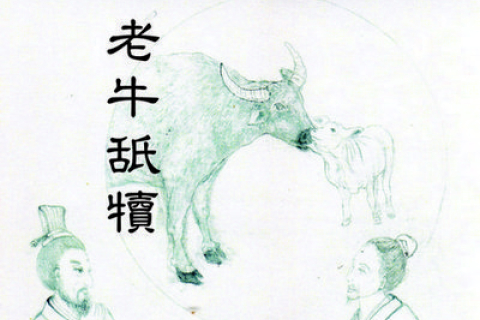 Китайские идиомы (6): Старая корова лижет своего телёнка