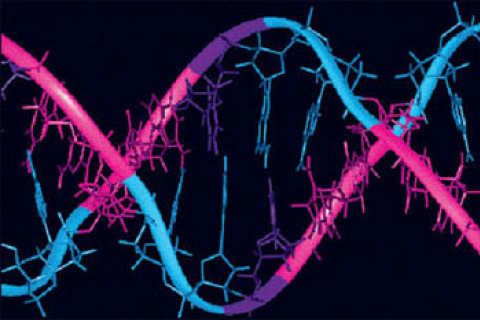 Ученые нашли у современных людей три новых гена